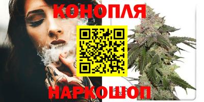 стафф Бузулук