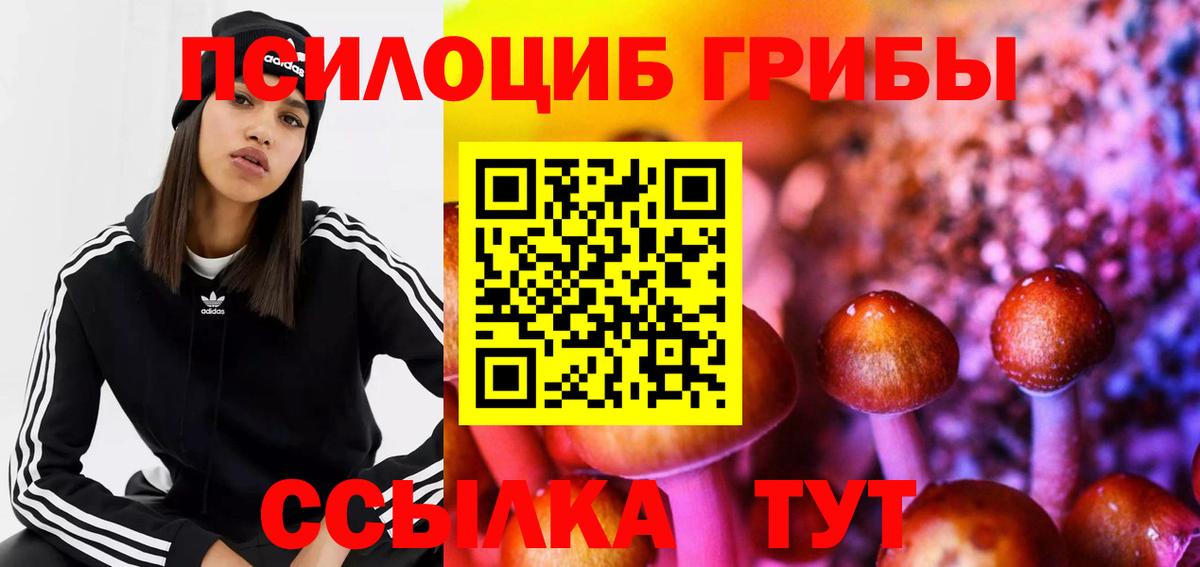Киржач  Галлюциногенные грибы ЛСД  продажа наркотиков  Вход с VPN 